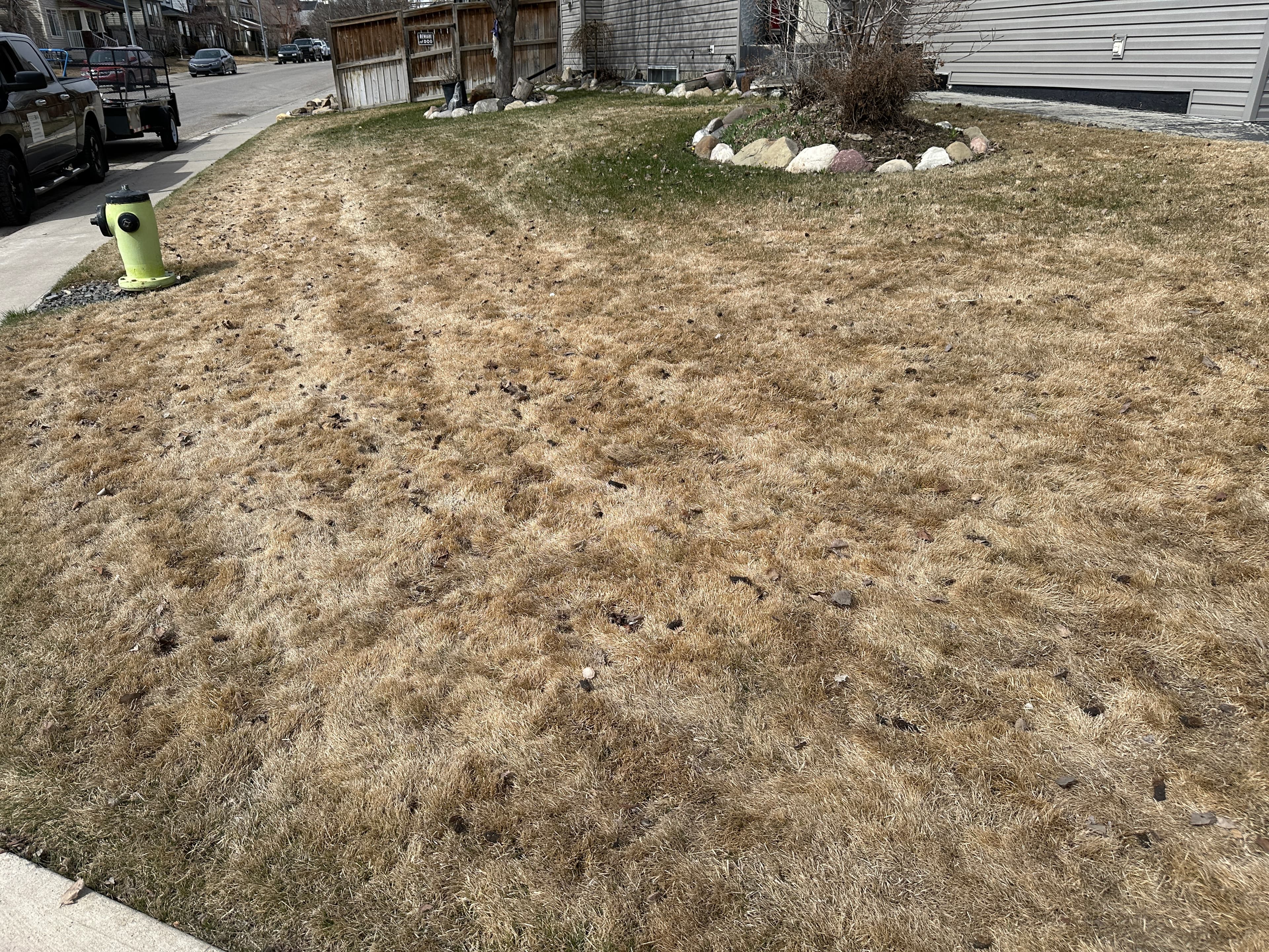 Calgary Core Aeration