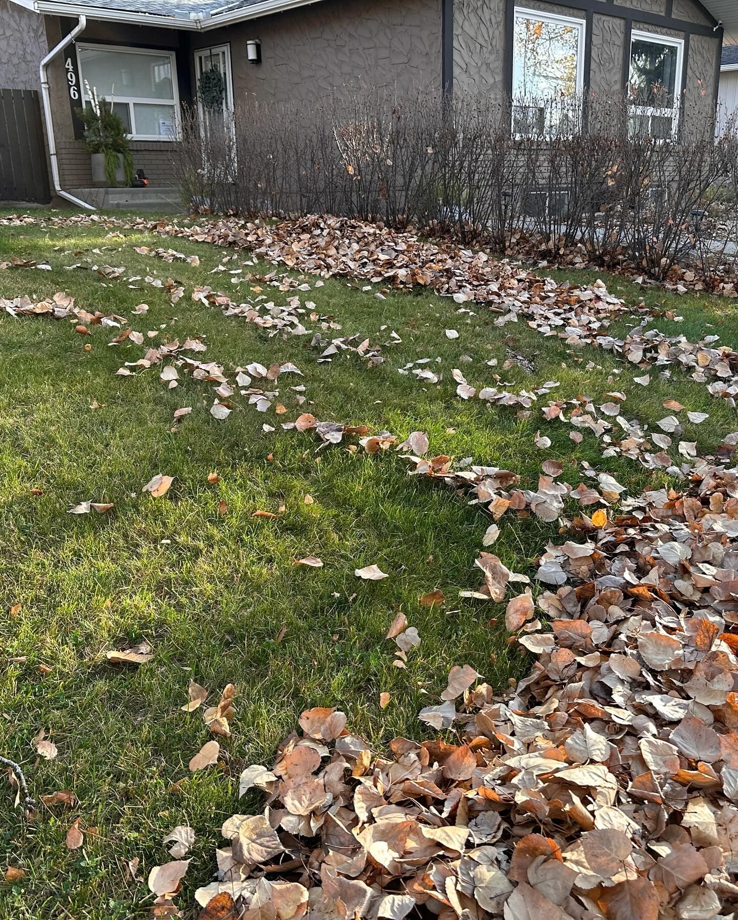 Calgary Leaf Cleanup
