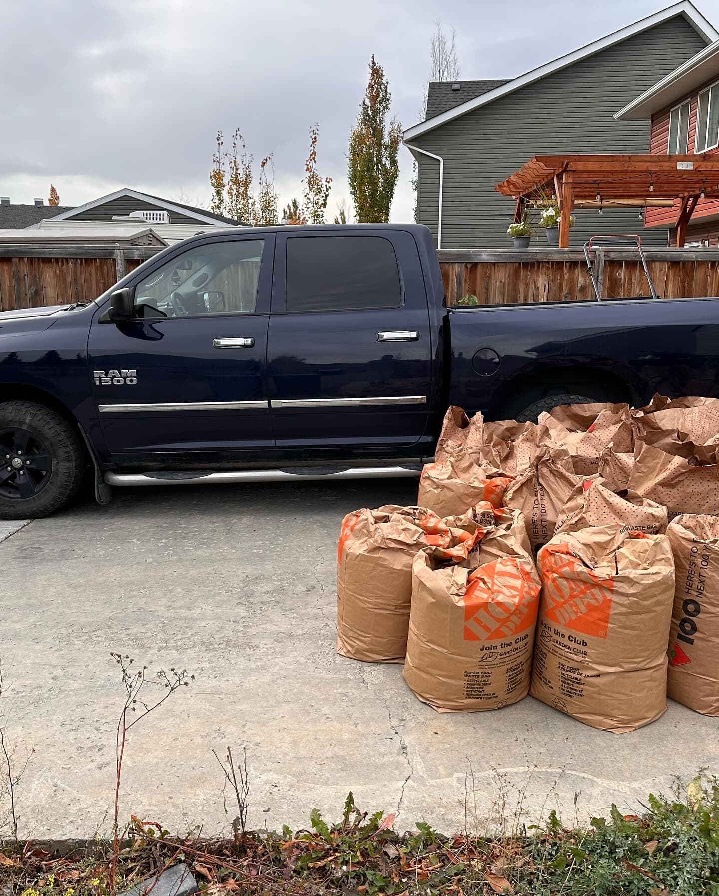 Leaf Removal Calgary