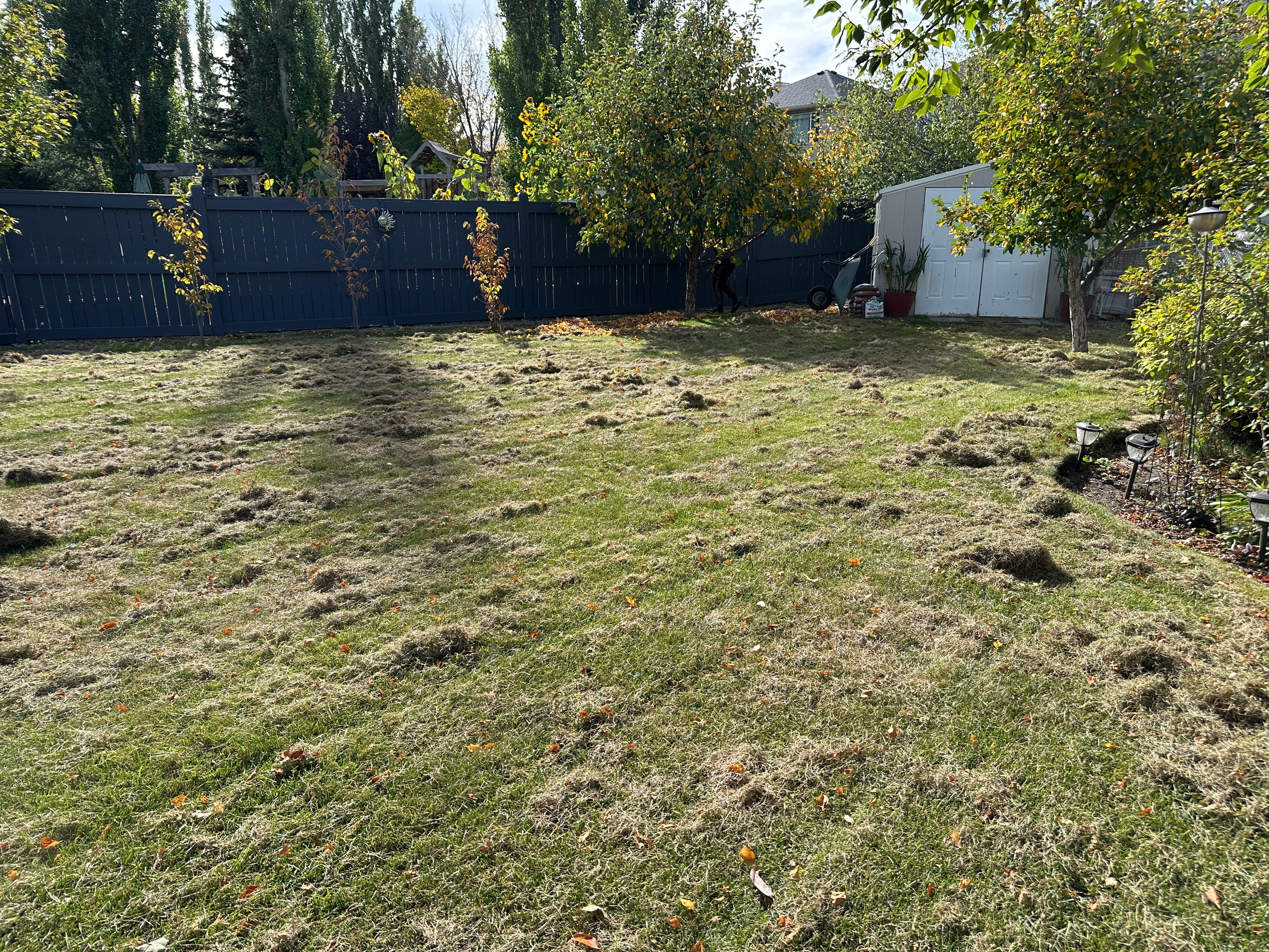 Power Raking Services