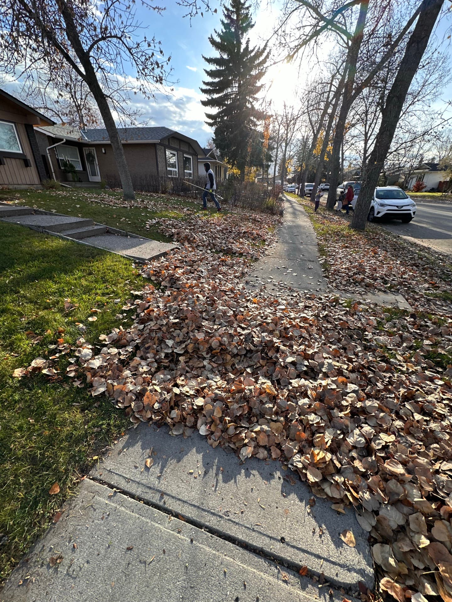 Spring Cleanup Calgary