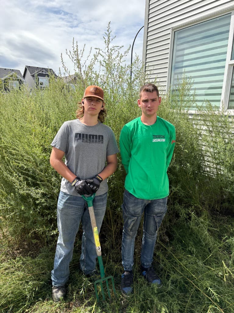 TERREOAK Commercial Team Standards