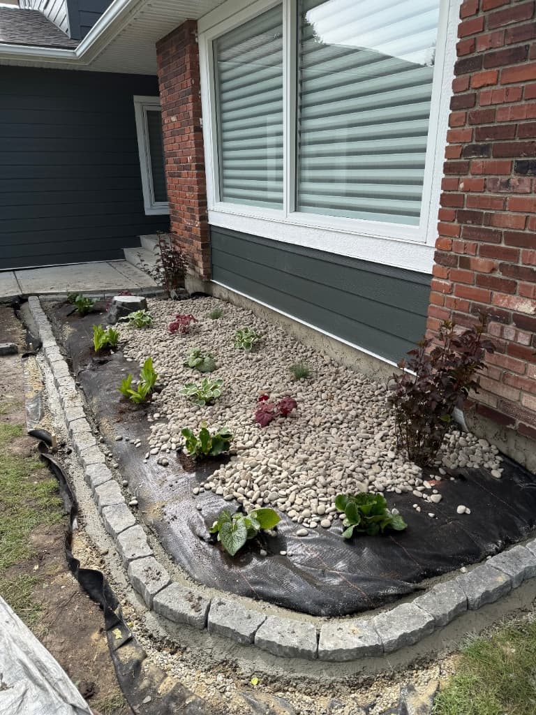 Plants laid out on the weed barrier before planting