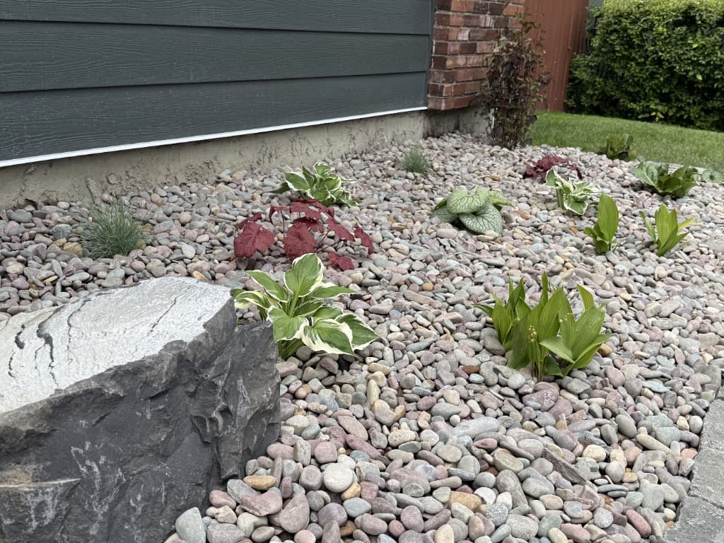 Complete Front Yard Overhaul
