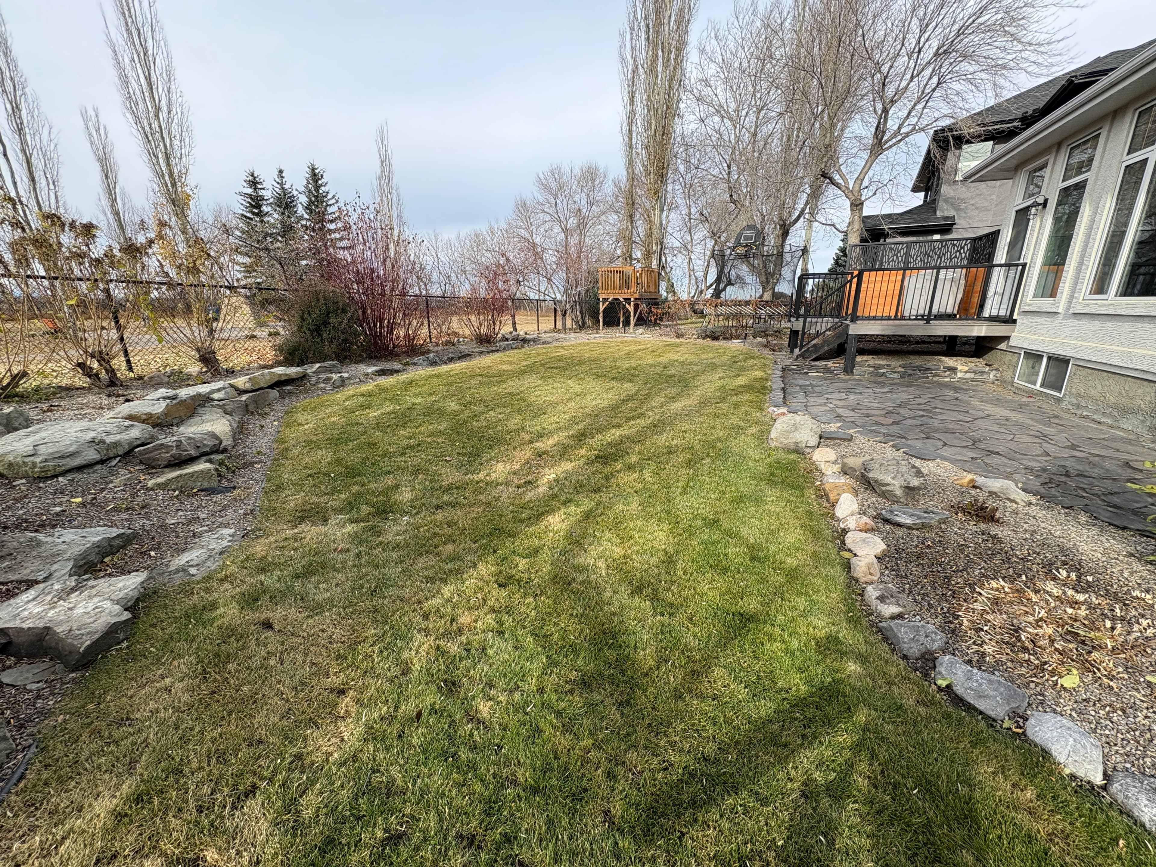 Softscaping in Calgary - Sod and plant installation