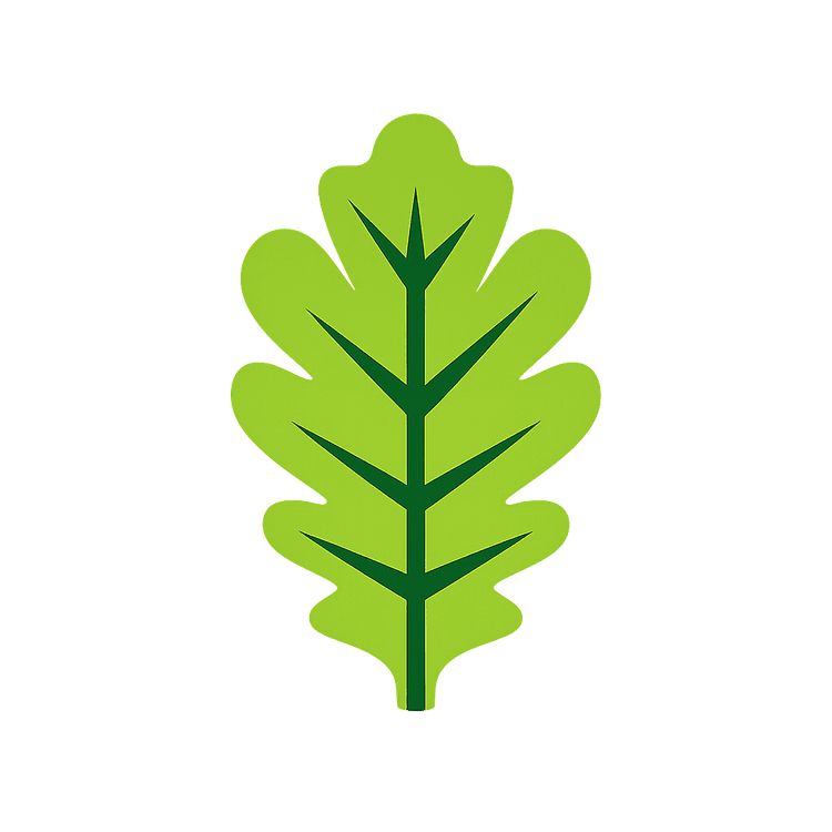 TERREOAK Landscaping