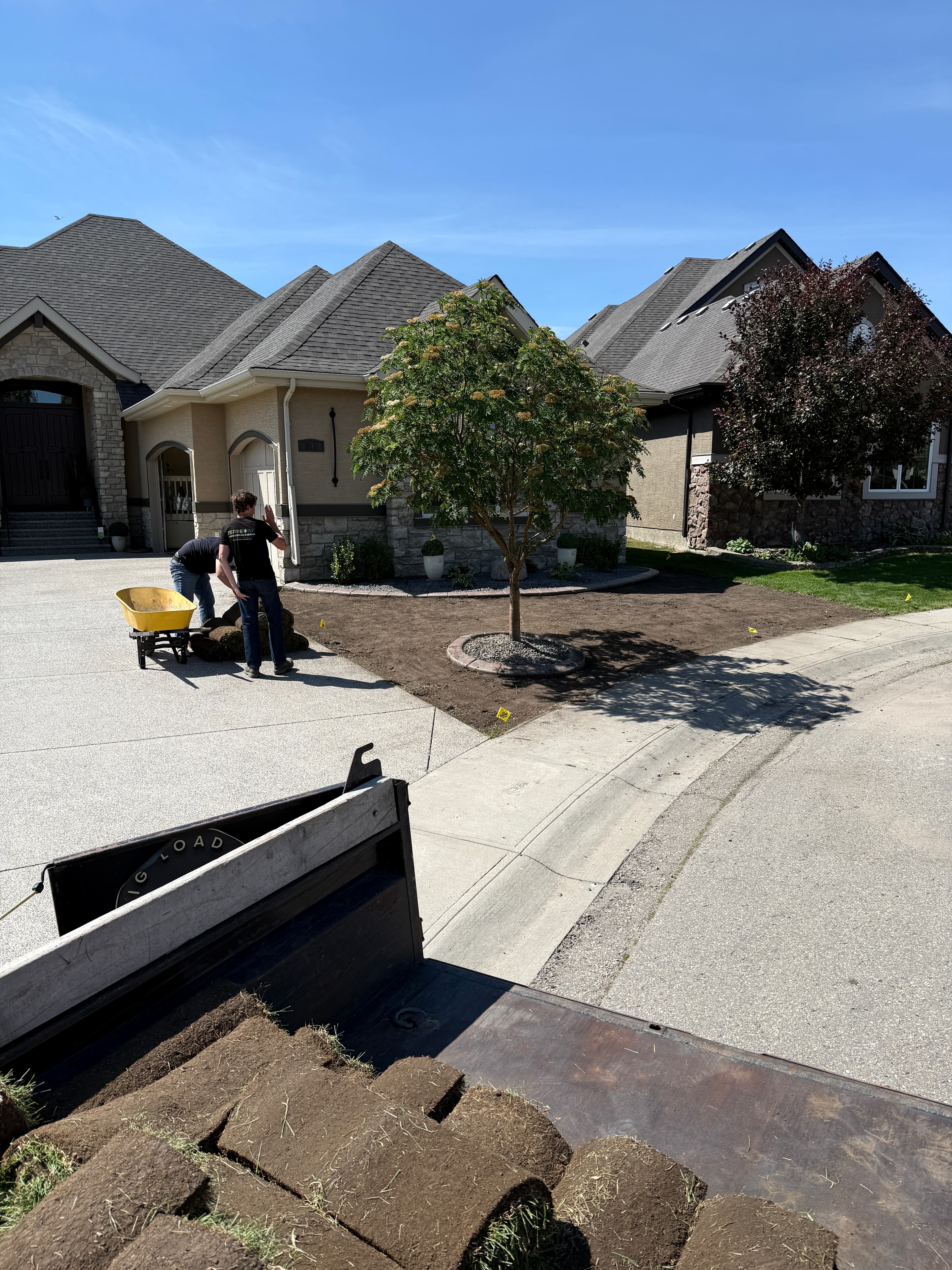 Front view of the newly landscaped yard