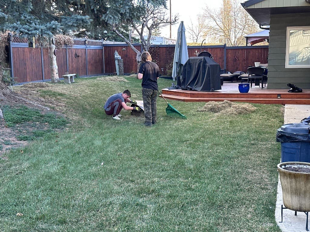 TERREOAK team performing spring yard cleanup